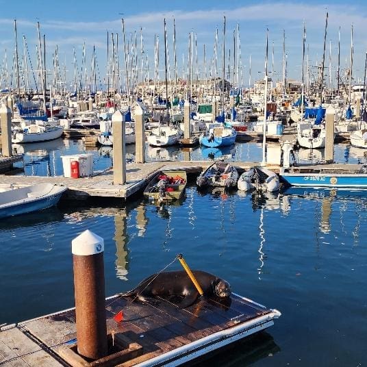 Donna.Stanford_1727240195_1