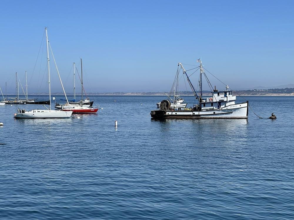 rkbuckle_1727186808_0