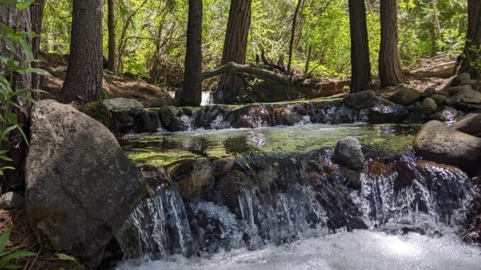 Magical creek sit spot at Headwaters Outdoor School Magical creek sit spot at Headwaters Outdoor School