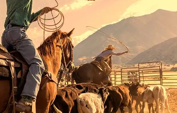 NTI. WE MOVE THE DATA THAT MOVES YOUR BUSINESS.