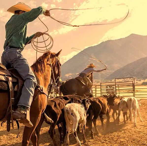 NTI. WE MOVE THE DATA THAT MOVES YOUR BUSINESS.