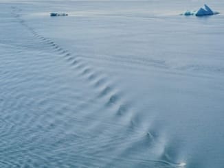 For NTI, looking back has always been an option but what lies ahead is more important!