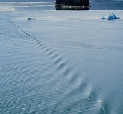 For NTI, looking back has always been an option but what lies ahead is more important!